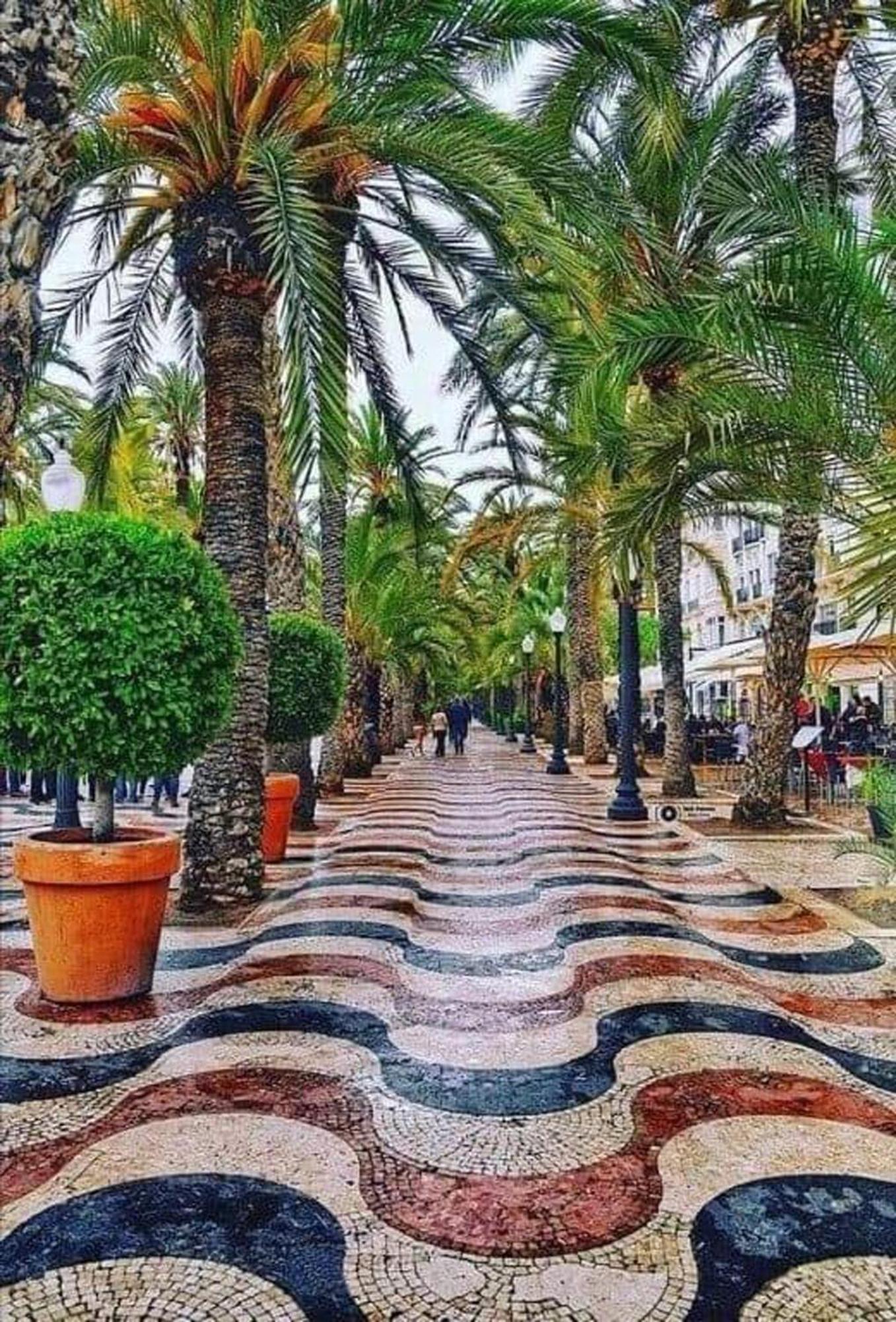 -Saint Thomas- Alicante Old Town Exterior foto